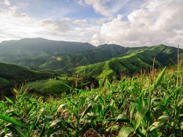 Área de Preservação Permanente pode contar como Reserva Legal?