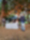 WhatsApp Image 2020-11-19 at 10.59.22 AM