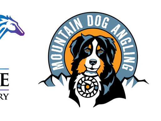 Original Illustration vs. Stock Imagery