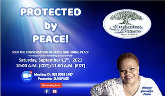 Protected by Peace2png.png