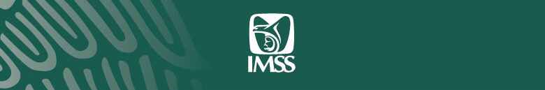 IMSS ENCABEZADO.png