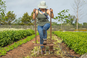 Spring Events at Village Farm