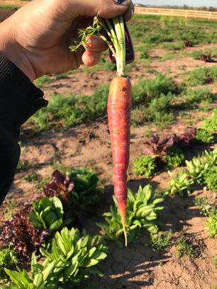Compost!