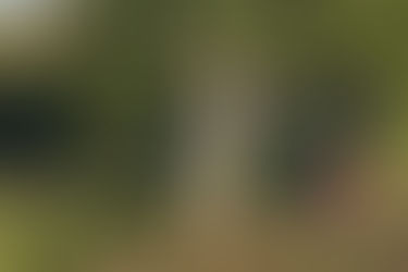 Earth Day Market Recap and a Farmer Spotlight