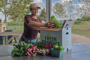 Fall Season Veggie Share SignUp