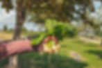 ree