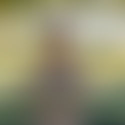 Unique Farm Club Harvests