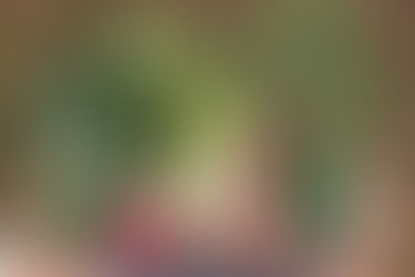 December Farmers Markets