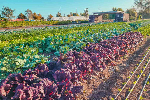 Farm Tour this Saturday!