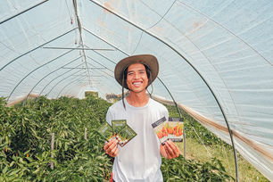 Ordering Seeds for Fall and Harvesting Summer Herbs