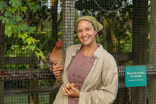 Eggs for Sale in the Veggie Share