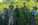 Friends of the Farm Social Membership
