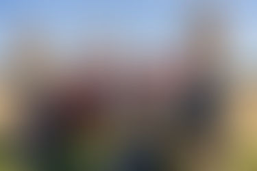 Farm Tour this Saturday and Field Update