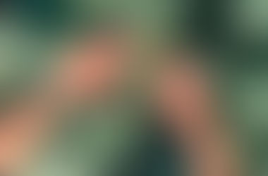 Broccoli Coming Soon! 