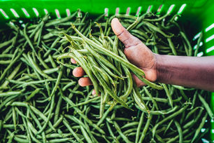 May 21st Farmers Market