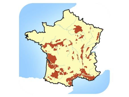 In-depth Searchable Wine Maps.