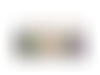 SIMONSIG HAILS 50 YEARS OF KAAPSE VONKEL AND CAP CLASSIQUE