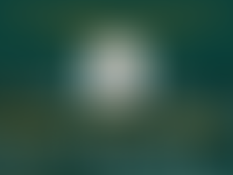 Quarter-Finals Open! Best Sommelier in South Africa 2021 in partnership with Stellenbosch Wine Route