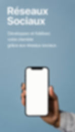 Réseaux Sociaux.jpg