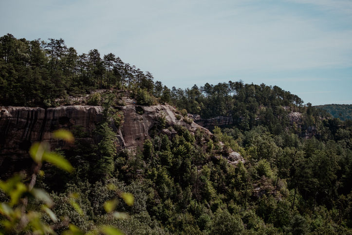 _DSC1209-2.jpg