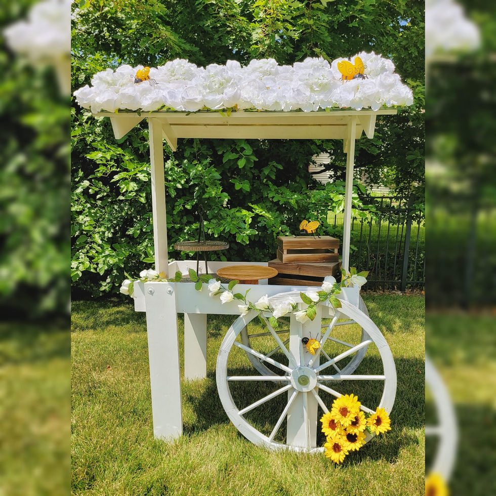 Baby to Bee Baby Shower Backdrop Decor The Party Designer Boston
