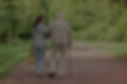 Walk in the Park_edited.jpg