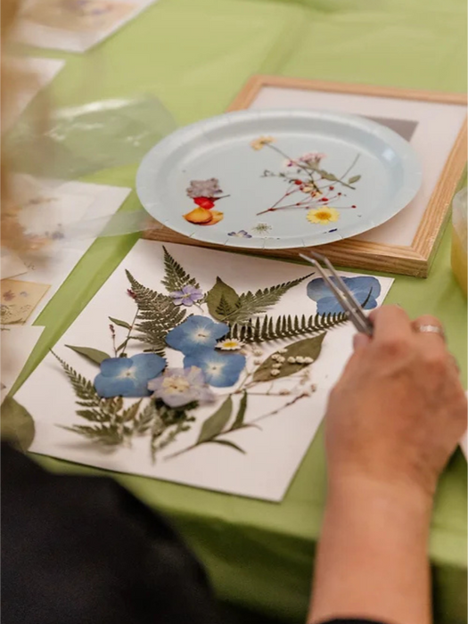 Person arranging pressed flowers and ferns on a white card