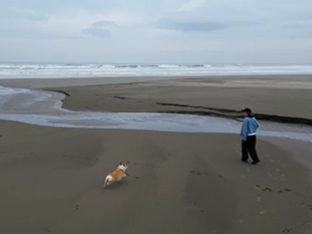 翔けろ! 九十九里浜!!