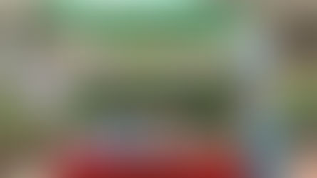 「 扶新苗· 助成長」閉幕典禮及嘉年華會