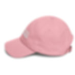 Thumbnail: Anointed Nobodies Dad Hat