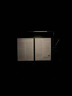 IMG_7337 2.jpeg