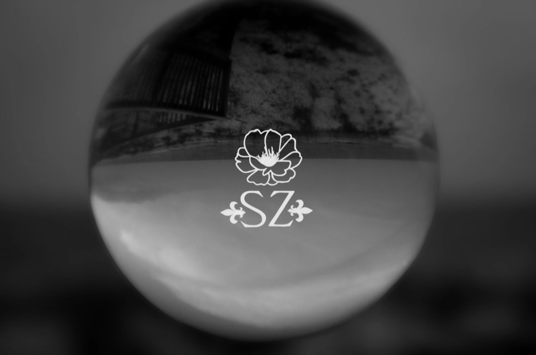 Lonely Focus