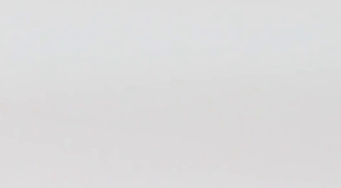 Animated GIF-downsized_large-4.gif
