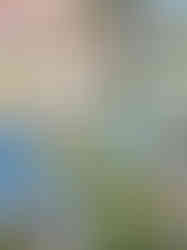 Easter Spring Scene Kit showing 30 PNG images including outdoor scenes, hands holding items, spring props, and nature element