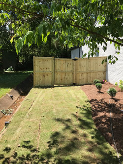 Fence  & Landscape