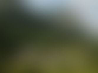Redução de 38% da área tombada pelo Iphan preocupa população de Petrópolis