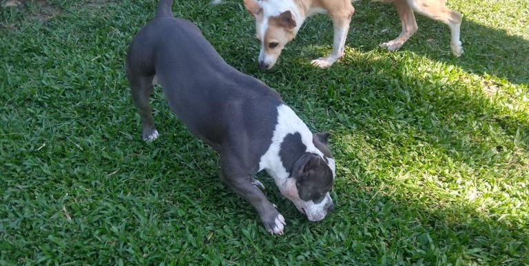 WhatsApp Image 2021-12-02 at 10.38.17 (3).jpeg