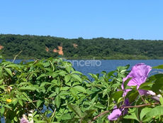 Ilha Cardosa: O Santuário das Aves que é o Coração Ecológico de Maricá