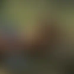 Cláudia Ohana com tudo em cima aos 60 anos