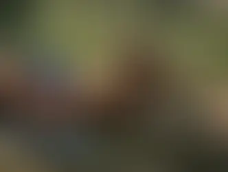 Cláudia Ohana com tudo em cima aos 60 anos