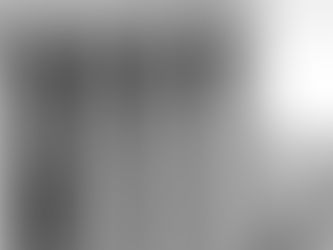 A Constituição como ferramenta de trabalho (II)