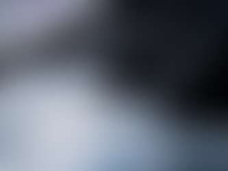 Vale tanto assim o risco das operações policiais ao Estado?