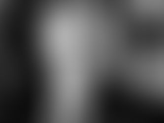 René Ariel Dotti, o esgrimista da liberdade