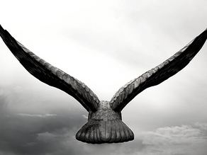 Senado aprova projeto de lei bipartidário que reformula o Serviço Postal dos EUA