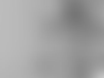 A Constituição como ferramenta de trabalho