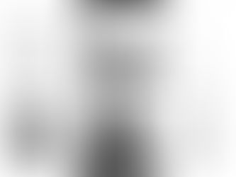 Paulo Sergio Leite Fernandes, o defensor | Migalhas: pílulas de informação – 15.07.2010