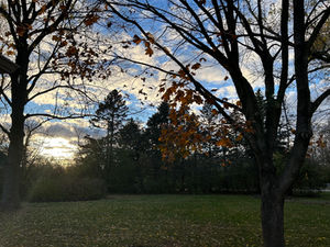 Writers Corner: November 2024 Edition