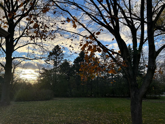 Writers Corner: November 2024 Edition