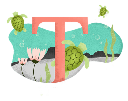 T para tortuga