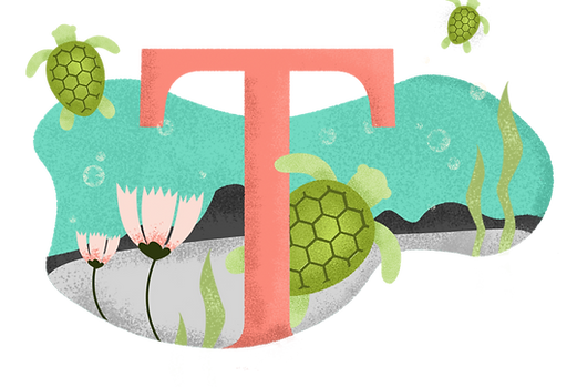 T for Turtle